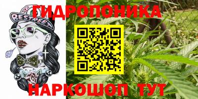 mdma Кандалакша