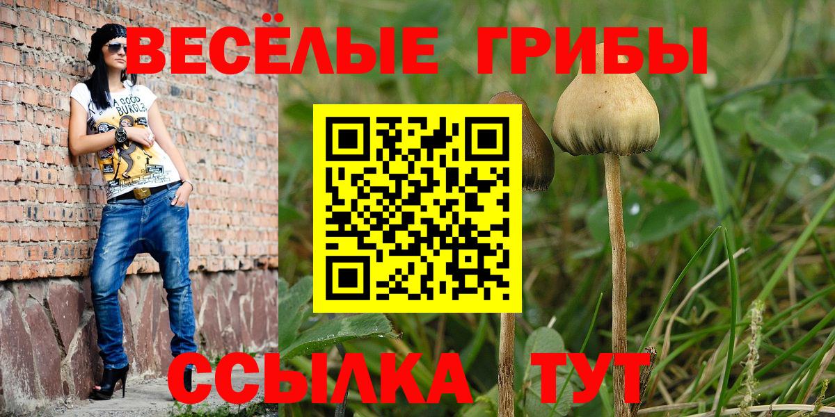 Галлюциногенные грибы MAGIC MUSHROOMS Красный Сулин
